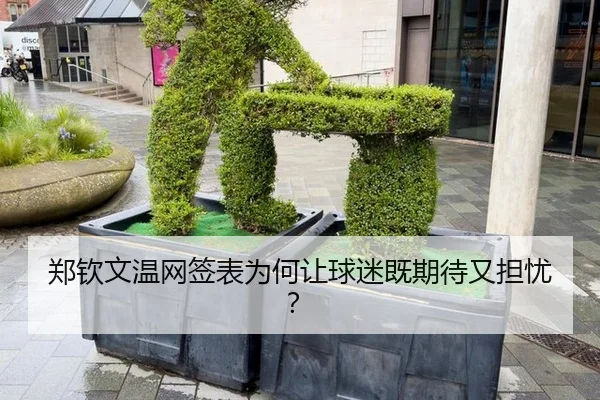 zheng-qin-wen-wen-wang-qian-biao-wei-he-rang-qiu-mi-ji-qi-dai-you-dan-you-2-315.jpg